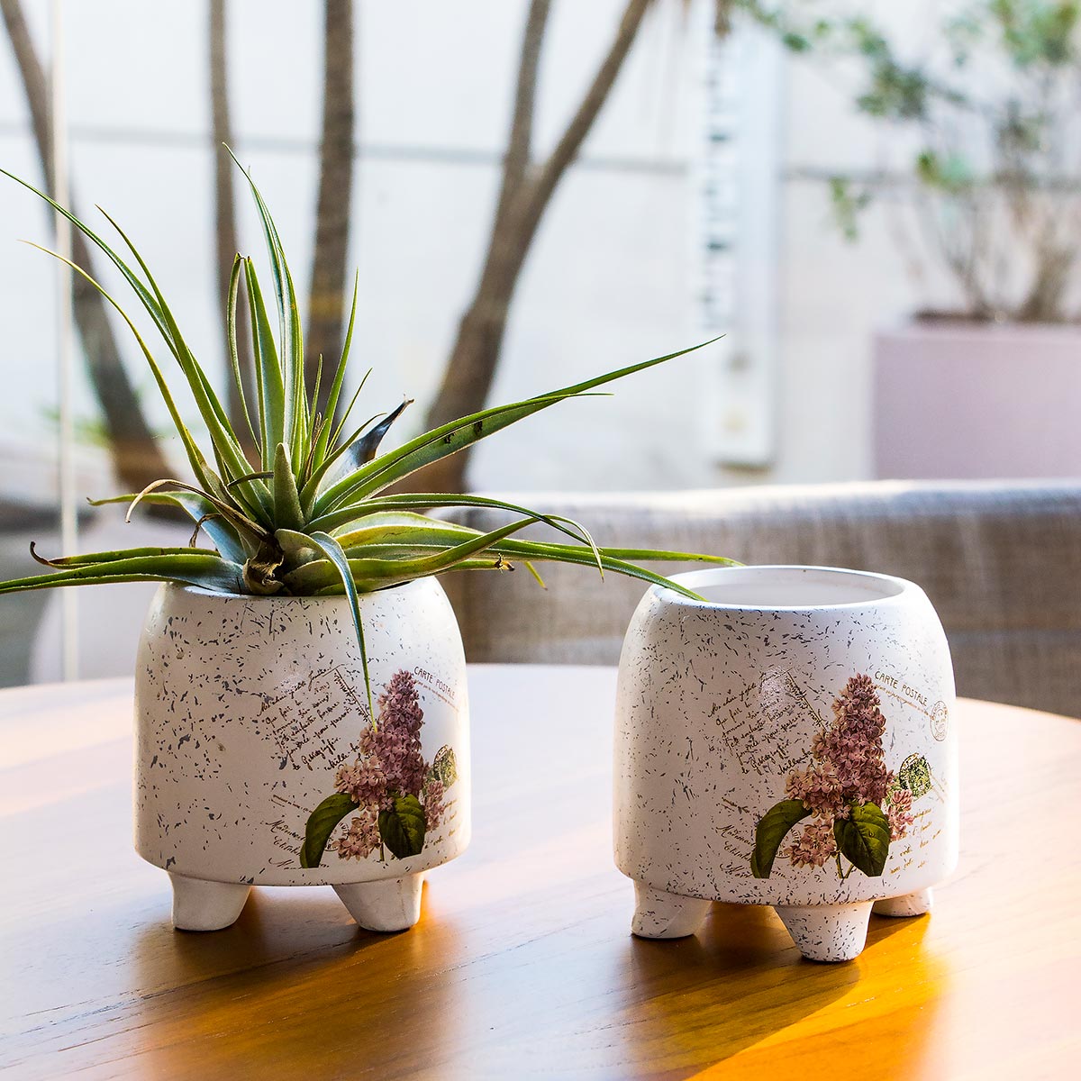 Cachepô de Cerâmica Multicolorido 9x9cm para Plantas Decorativas