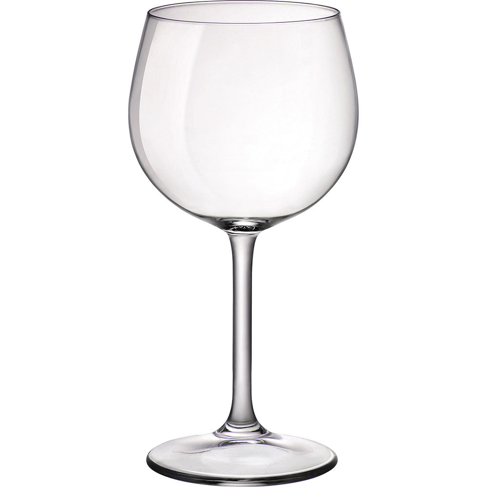 Conjunto 6 Taças de Vinho Bormioli Rocco Riserva Cristal 480ml Transparente