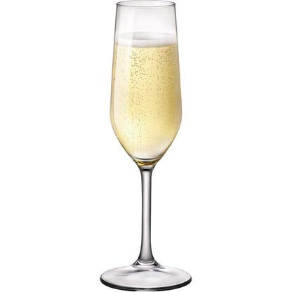 Conjunto 6 Taças de Champanhe Bormioli Rocco Riserva 200ml Transparente