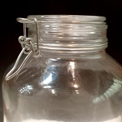 Pote Hermético de Vidro Bormioli Rocco Fido 4L Transparente 28x16cm