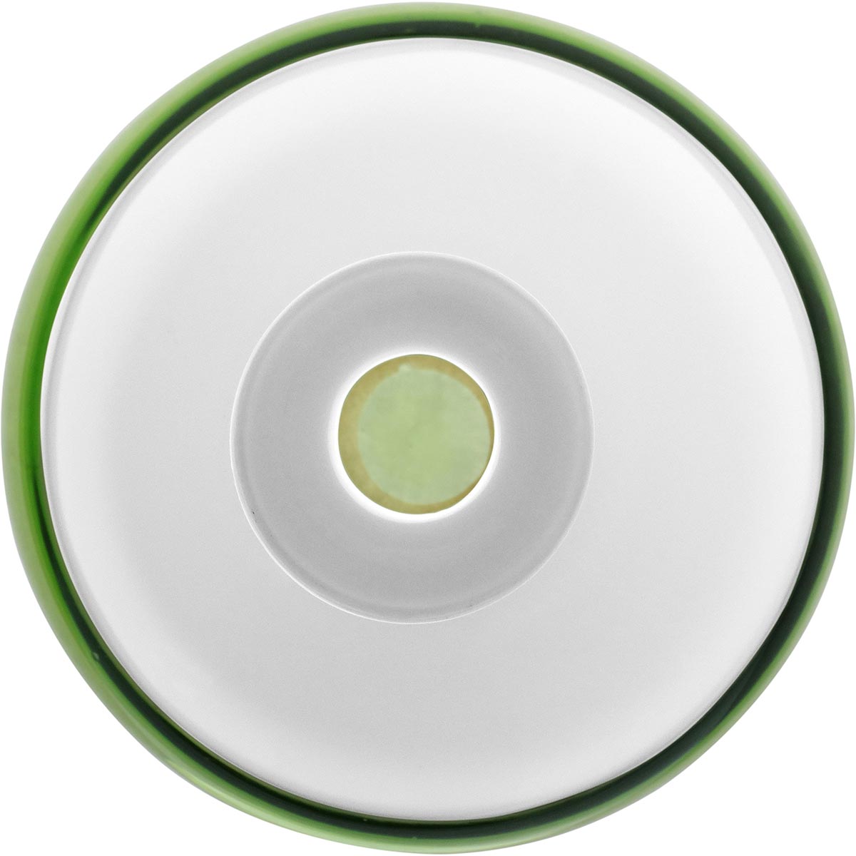 Garrafa Decorativa de Vidro Verde Thyara 21cm - Estilo e Qualidade