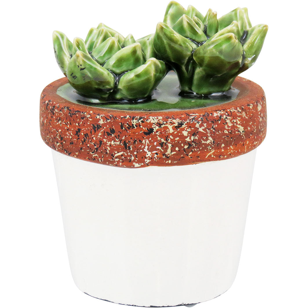 Adorno Kaktus Suculenta Cerâmica Branca 12cm - Decoração Elegante