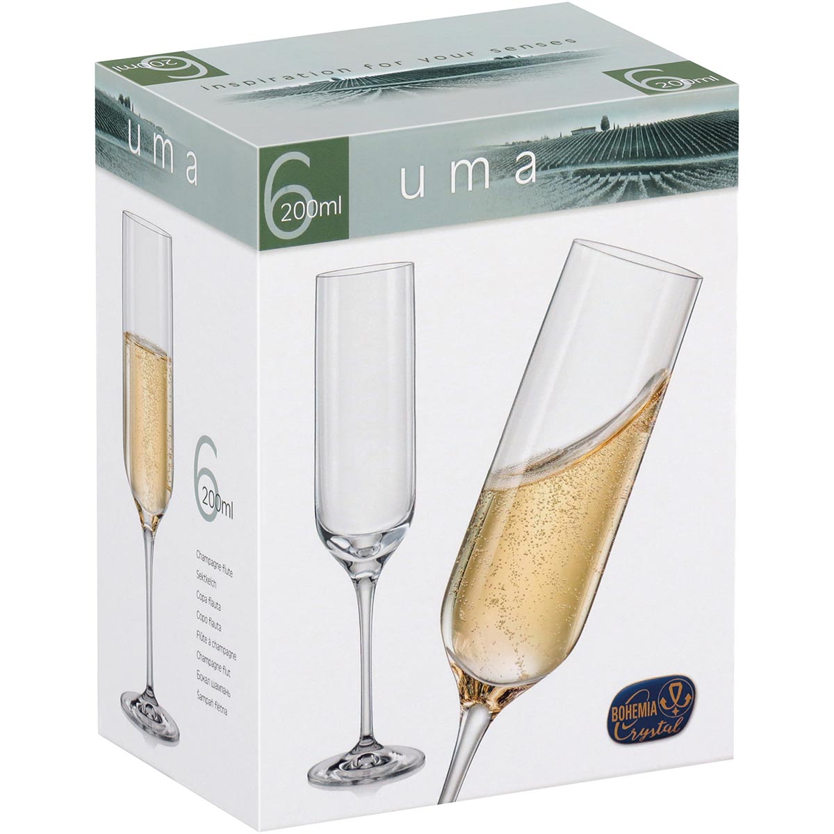 Conjunto 6 Taças de Champanhe Bohemia Cristal 200ml Transparente