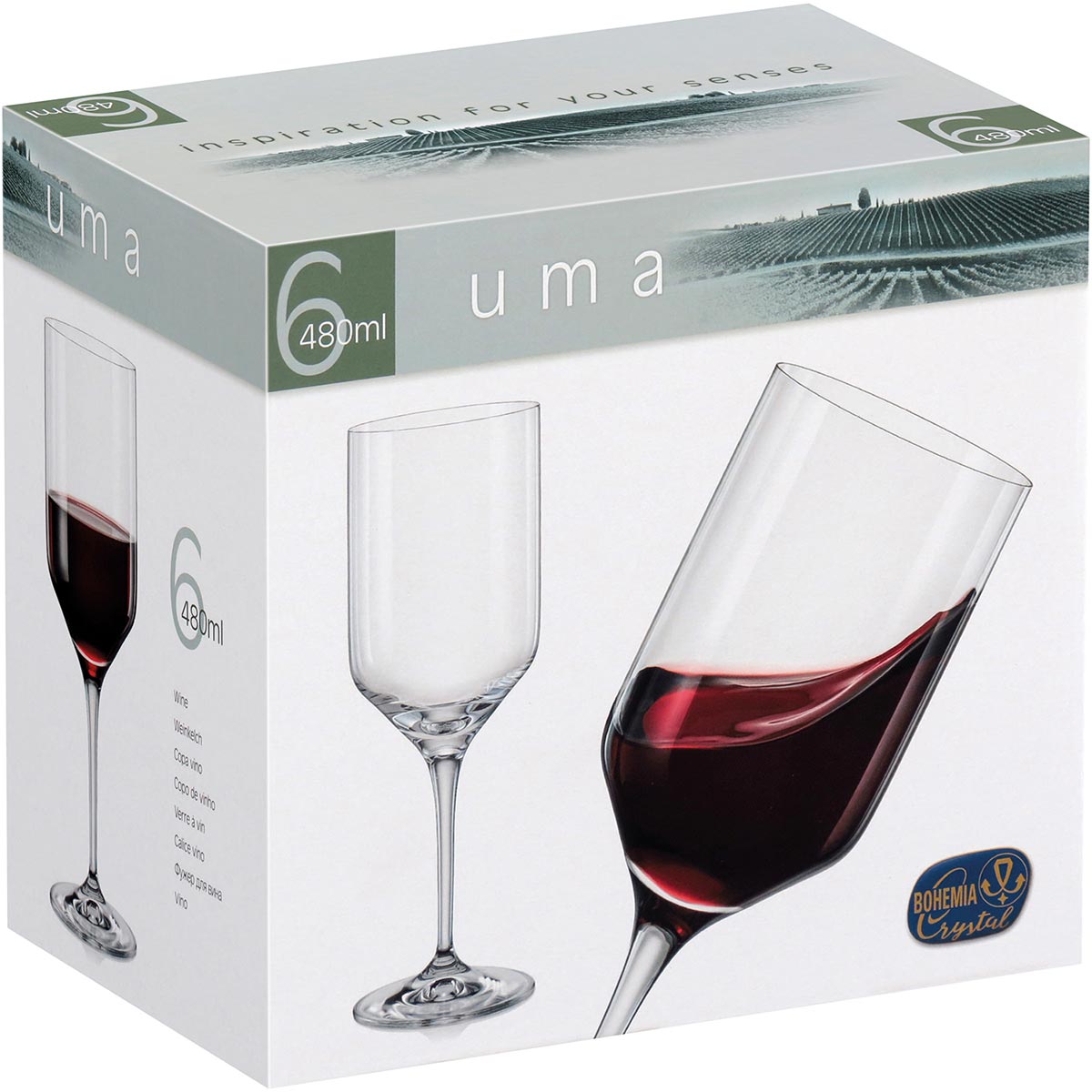 Conjunto 6 Taças Água Bohemia Cristal 480ml Transparente 24x9cm