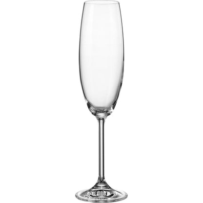 Conjunto 6 Taças de Champanhe Bohemia Cristal 230ml Transparente