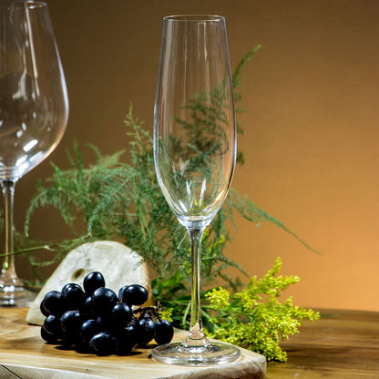 Conjunto 6 Taças de Champanhe Bohemia Sarah Cristal 260ml Transparente