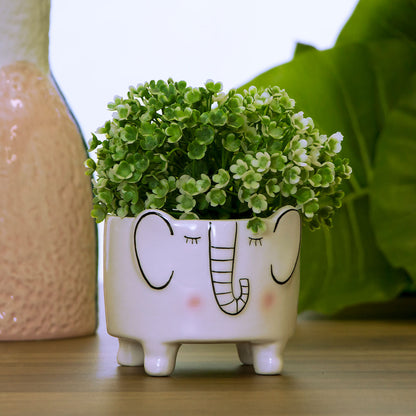 Cachepô Elefante Cerâmica Branca 9cm - Decoração para Plantas