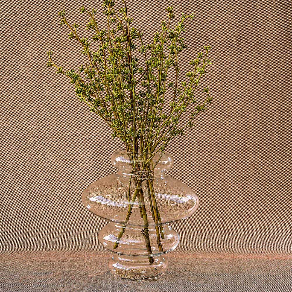 Vaso Vidro 30x28x28cm Transparente