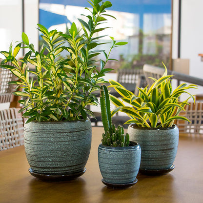 Conjunto de 3 Cachepôs de Cerâmica Cinza - Plantas Naturais ou Artificiais