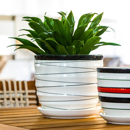 Conjunto de Cachepôs de Cerâmica Branca 3 Peças - Decoração Elegante