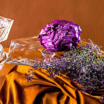 Centro de Mesa Oasis em Vidro Transparente 11x33x33cm - Elegante