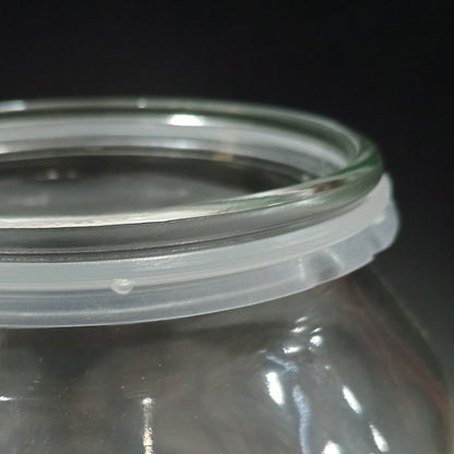 Pote de Vidro Transparente Home&Co 3L 26x16x16cm para Armazenamento