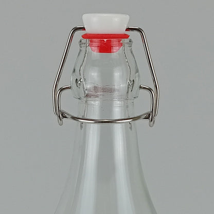 Garrafa de Vidro Home&Co 1L com Tampa Trava Transparente 32x8x8cm