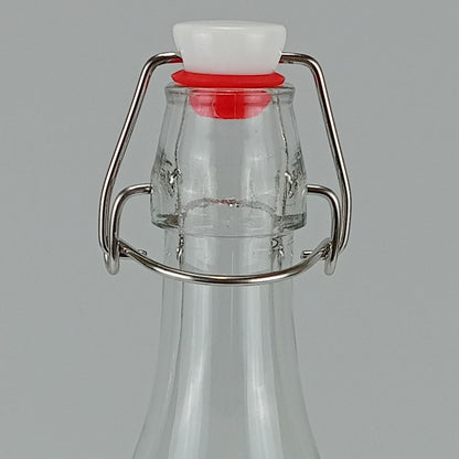 Garrafa de Vidro Home&Co 1L com Trava na Tampa Transparente 29x9x9cm