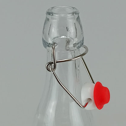 Garrafa de Vidro Transparente Home&Co 250ml com Tampa Trava 21x7x7cm