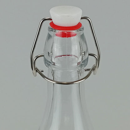 Garrafa de Vidro Transparente Home&Co 250ml com Tampa Trava 21x7x7cm