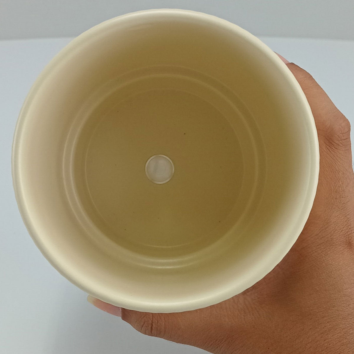 Cachepô Redondo Cerâmica Bege 12x12cm Home&Co para Plantas